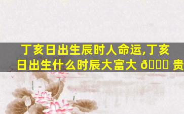丁亥日出生辰时人命运,丁亥日出生什么时辰大富大 🐟 贵